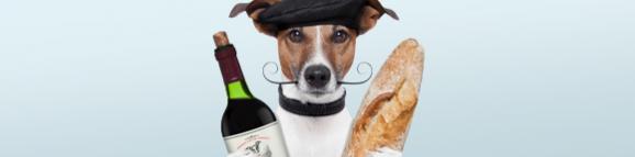 Dog holding wine and bread